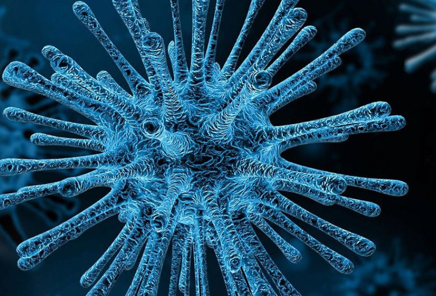  पछिल्लो २४ घण्टामा थप २१ जनामा कोरोना संक्रमण पुष्टि