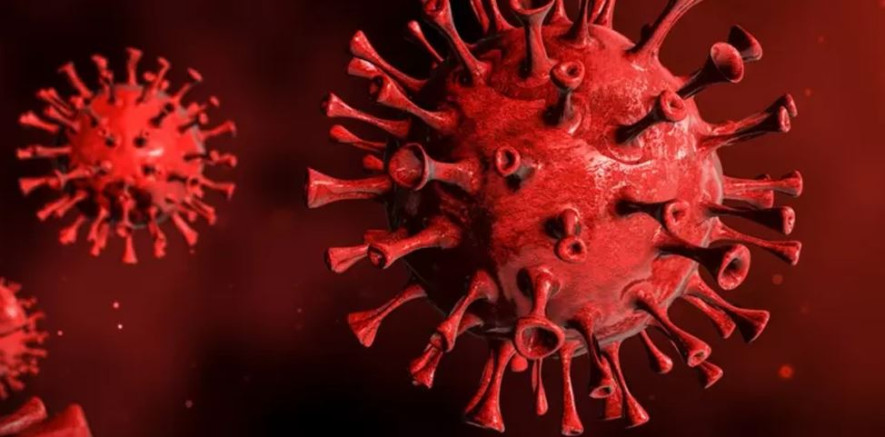 कोभिडले पारेकाे असर न्यूनिकरण सुनिश्चित गर्न आइएलओको सुझाव