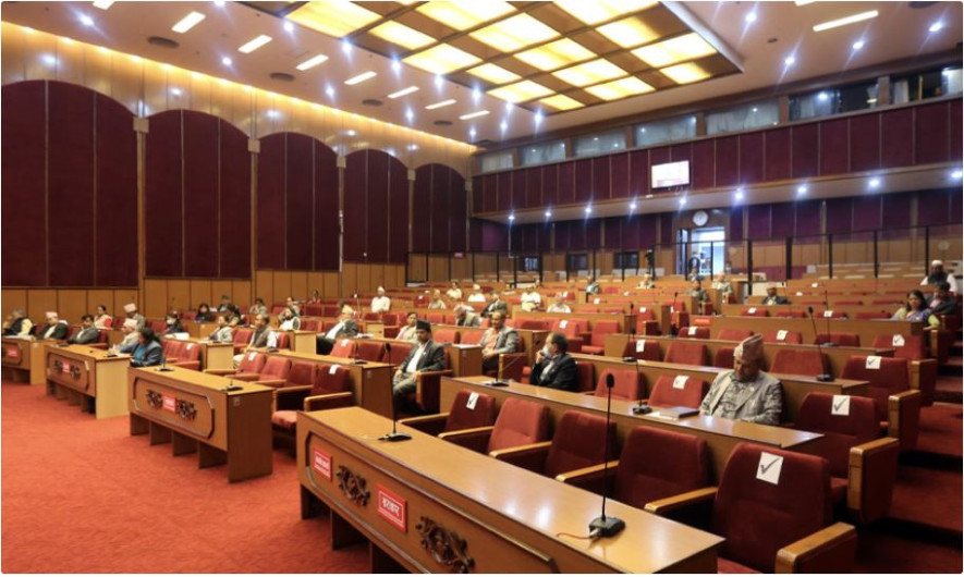 प्रतिनिधिसभा बैठकमा विमानस्थलको घुसदेखि गुणस्तरीय औषधी सम्मको चर्चा