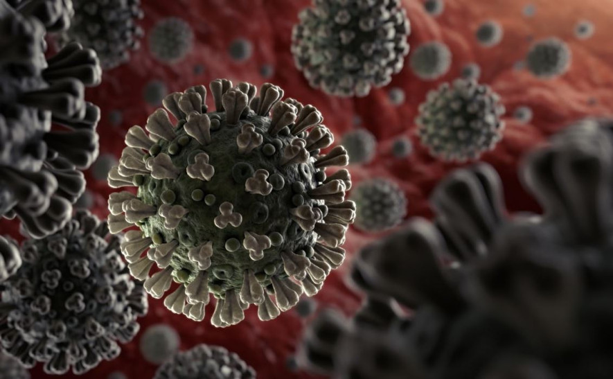 पछिल्लो २४ घण्टामा सात जनामा कोरोना संक्रमण पुष्टि