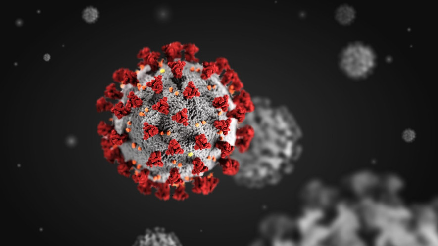 १०६ जनामा कोरोना संक्रमण पुष्टि , ४८ जना संक्रमणमुक्त
