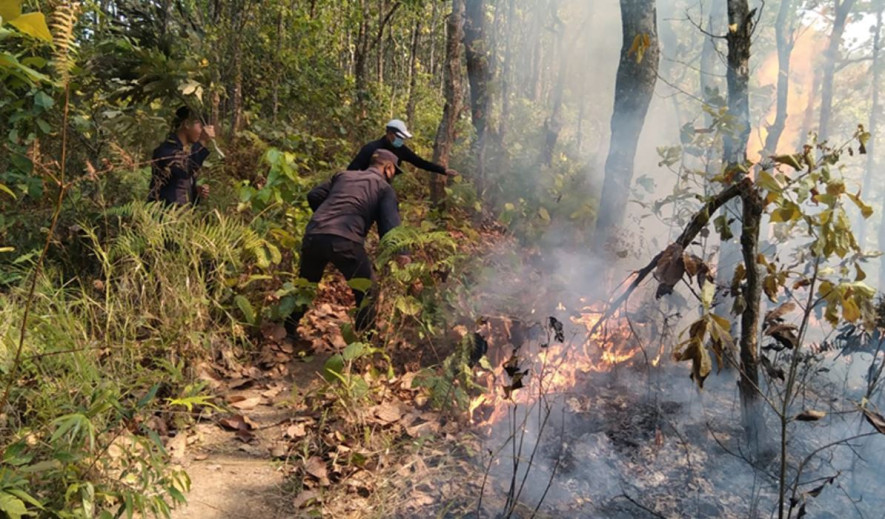 तनहुँका एक सय ५७ सामुदायिक वनमा आगलागी