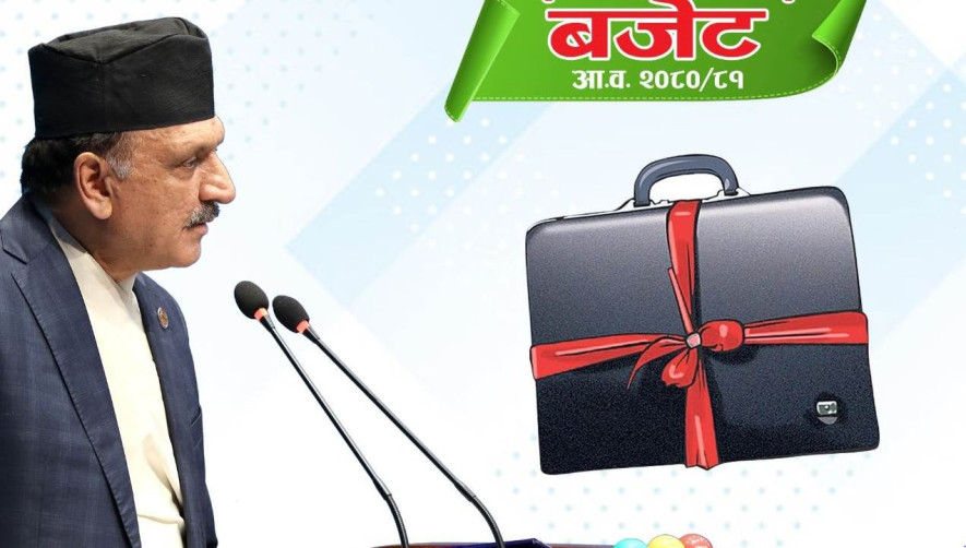 गाँजा खेतीको सम्भाव्यता अध्ययन गरिने