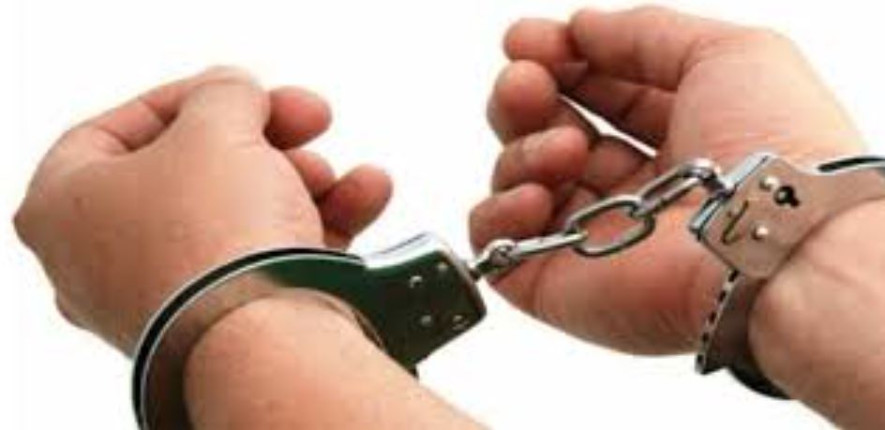 ६ किलोभन्दा बढी चरेससहित जर्मन नागरिक पक्राउ