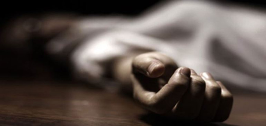 झापामा जङ्गली हात्तीले कुल्चेर वृद्धाको मृत्यु