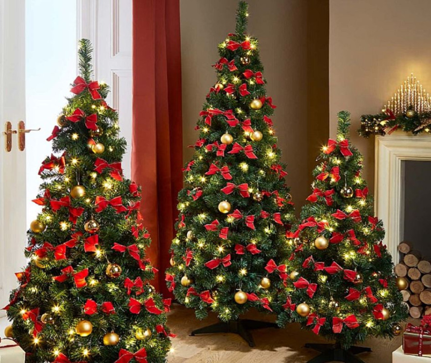 काठमाडौं महानगरपालिकामा प्लास्टिकका क्रिसमस ट्रि प्रयोग गर्न निषेध