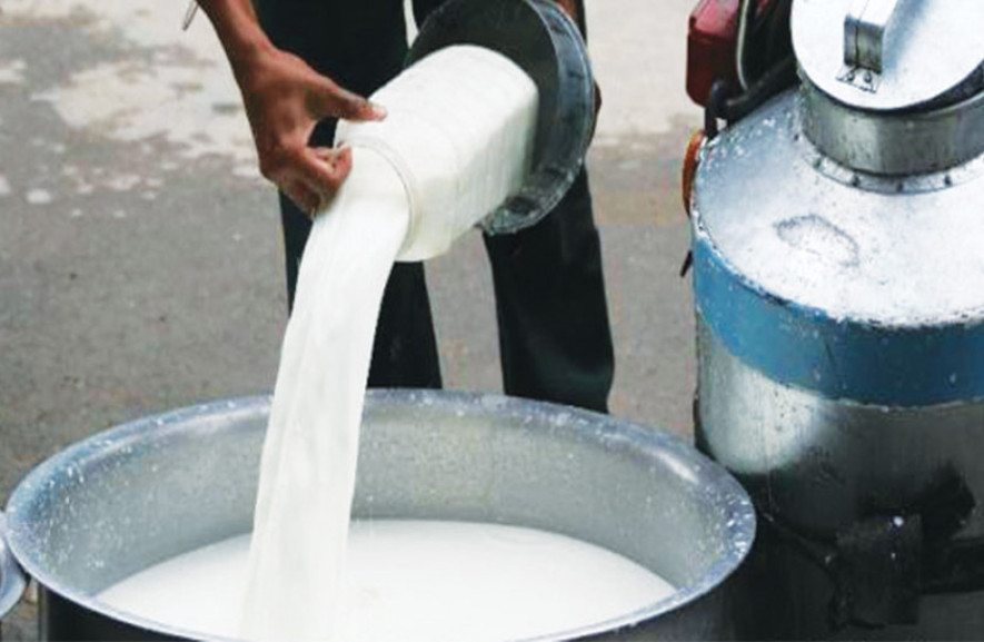 एक महिनाभित्र भुक्तानी दिने सहमतिपछि दूग्ध किसानको आन्दोलन स्थगित