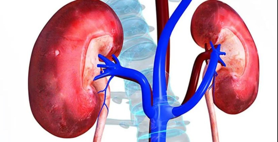 विश्वभर मिर्गौला दिवस मनाइँदै