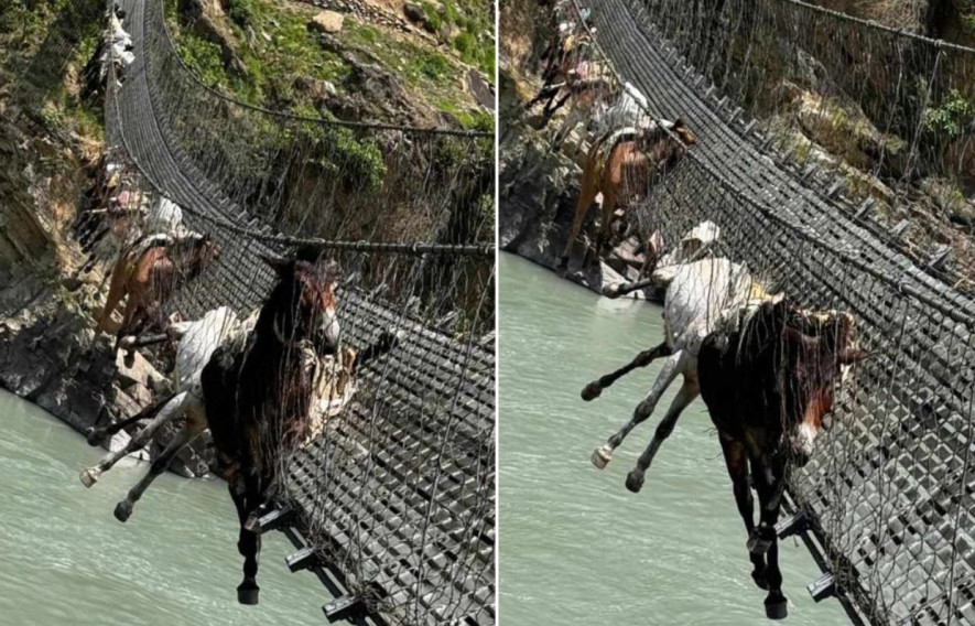 कर्णाली नदी माथिको झोलुंगे पुलको जाली फुत्किँदा फसे १३ खच्चड