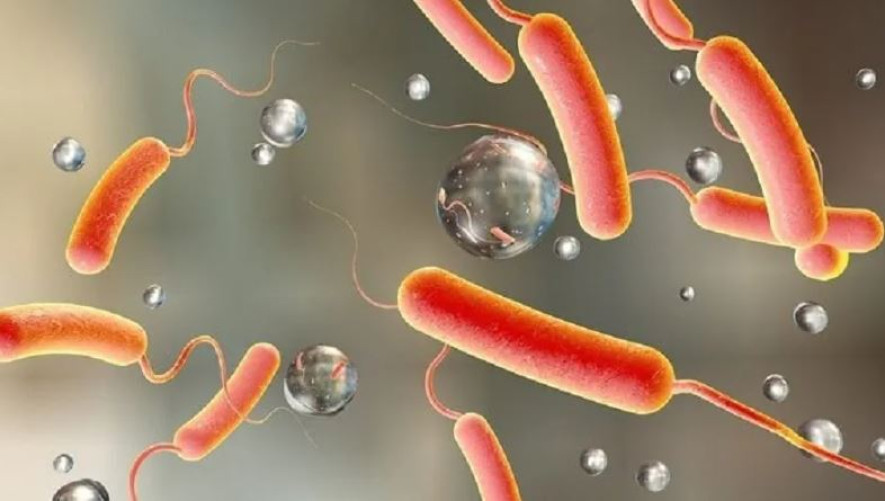 ललितपुरमा चार जनामा हैजाको पुष्टि