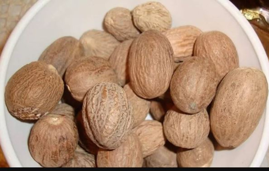 यी हुन् जाइफलको औषधीय गुण