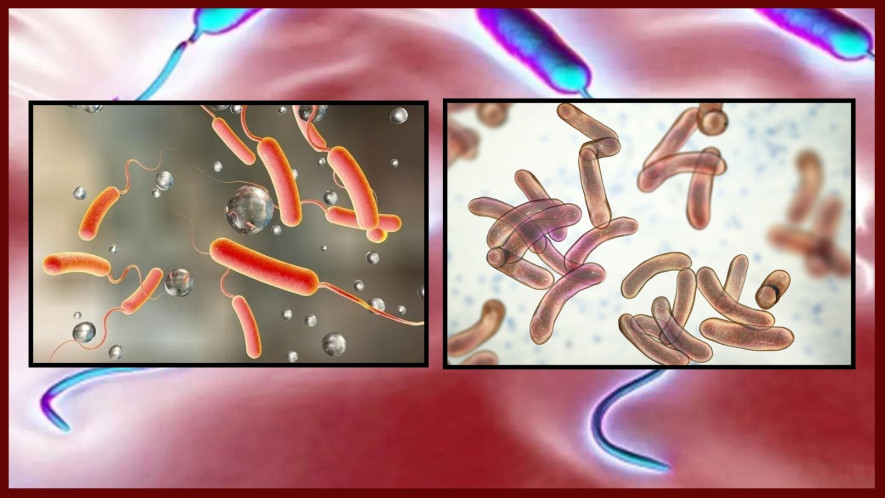 नेपालभरमा हैजा संक्रमितकाे संख्या ५५ जना पुग्याे ,खानेपानीमा विषेश  ध्यान दिन आग्रह