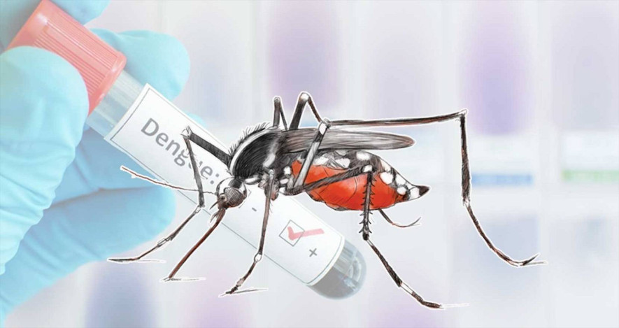 नेपालमा थप ४१६ जनामा डेंगु पुष्टि