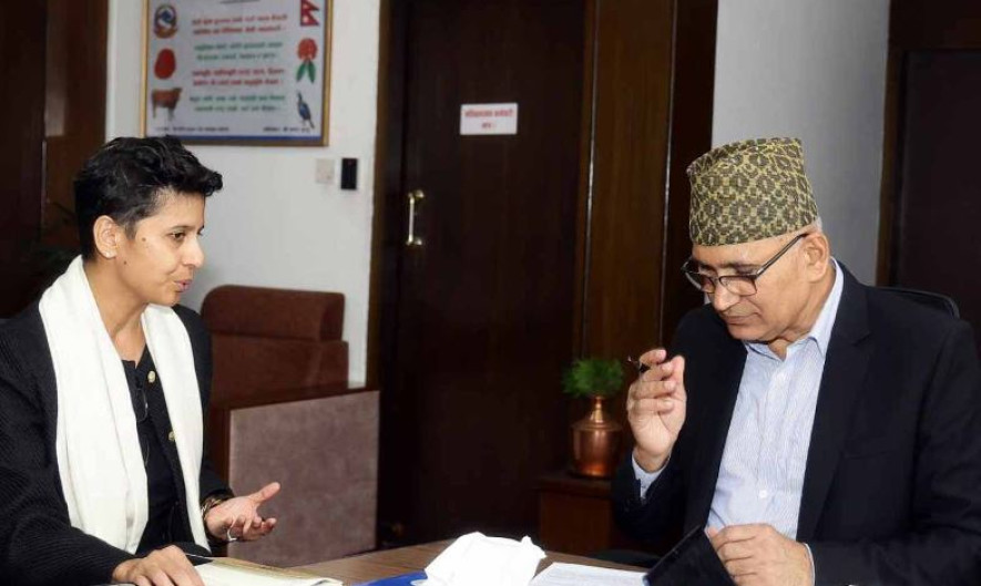 नेपालको अर्थतन्त्र सुधार हुँदै - आइएमएफ उपनिर्देशक