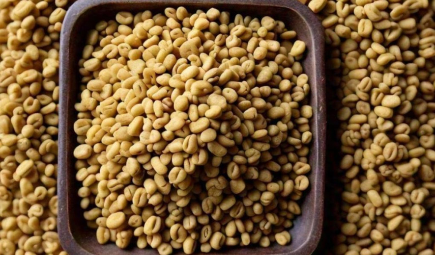 एक्जिमाका बिरामीले यसरी प्रयोग गर्नुपर्छ मेथी