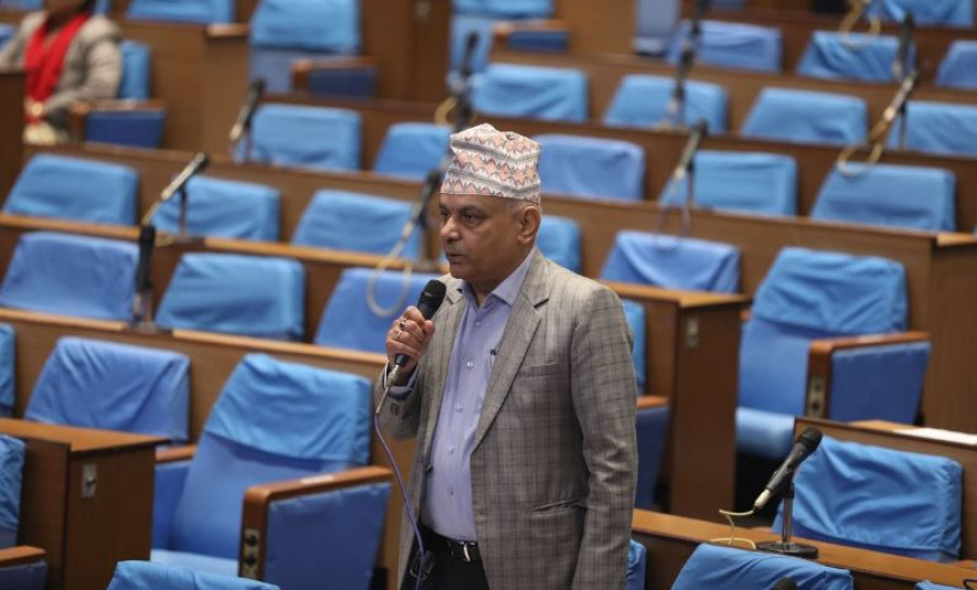प्रतिनिधि सभामा कांग्रेस प्रमुख सचेतक घिमिरेले मागे माफी