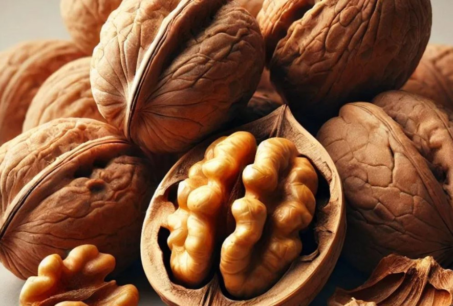 सुख्खा फल दैनिक सेवनले शरीरलाई कति फाइदा पुग्छ‍‍..